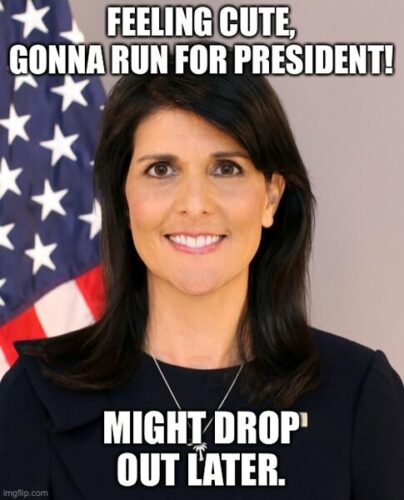 Even Haley Knows She Is Wasting Her Time, Anchor-Baby RINO Announces ...